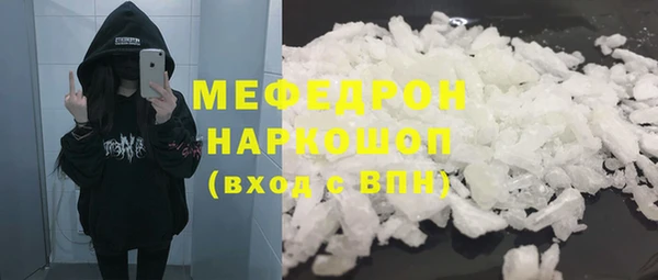 индика Богданович