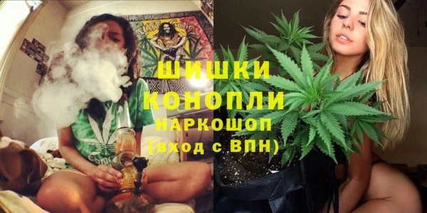 метадон Новозыбков