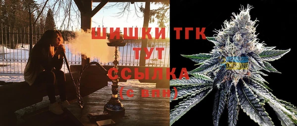таблы Новодвинск