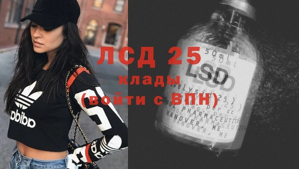 таблы Новодвинск