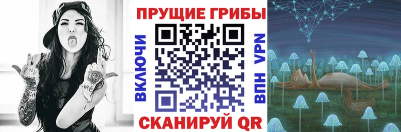 купить   гидра tor  Псилоцибиновые грибы GOLDEN TEACHER  Стрежевой 